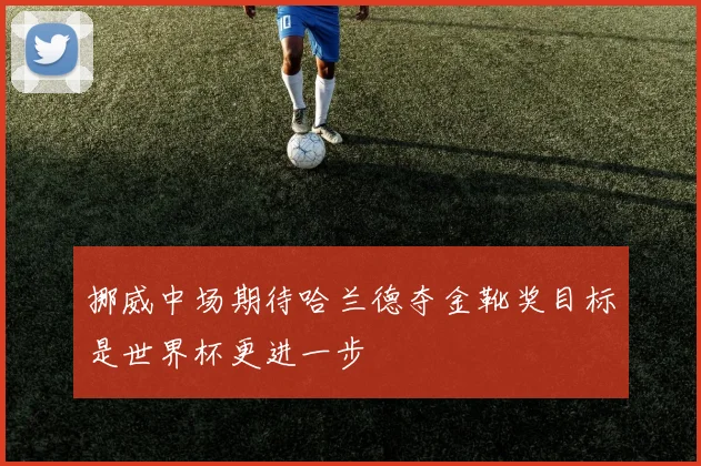 挪威中场期待哈兰德夺金靴奖目标是世界杯更进一步