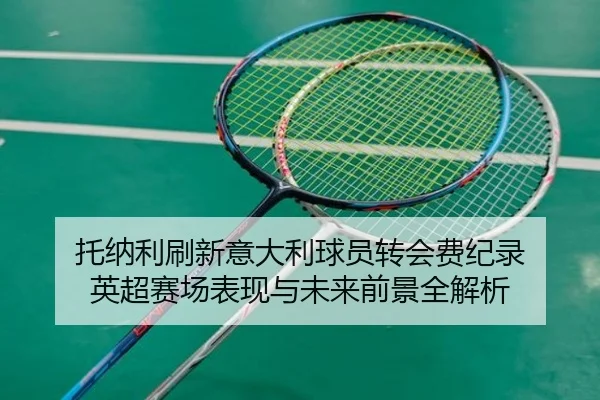 托纳利刷新意大利球员转会费纪录 英超赛场表现与未来前景全解析
